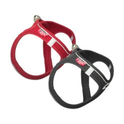 Curli Magnetic Vest Harness 24 Curli Magnetic Vest Harness -Selecteer Dierenwinkels curli magnetic vest harness 136330 1000 none