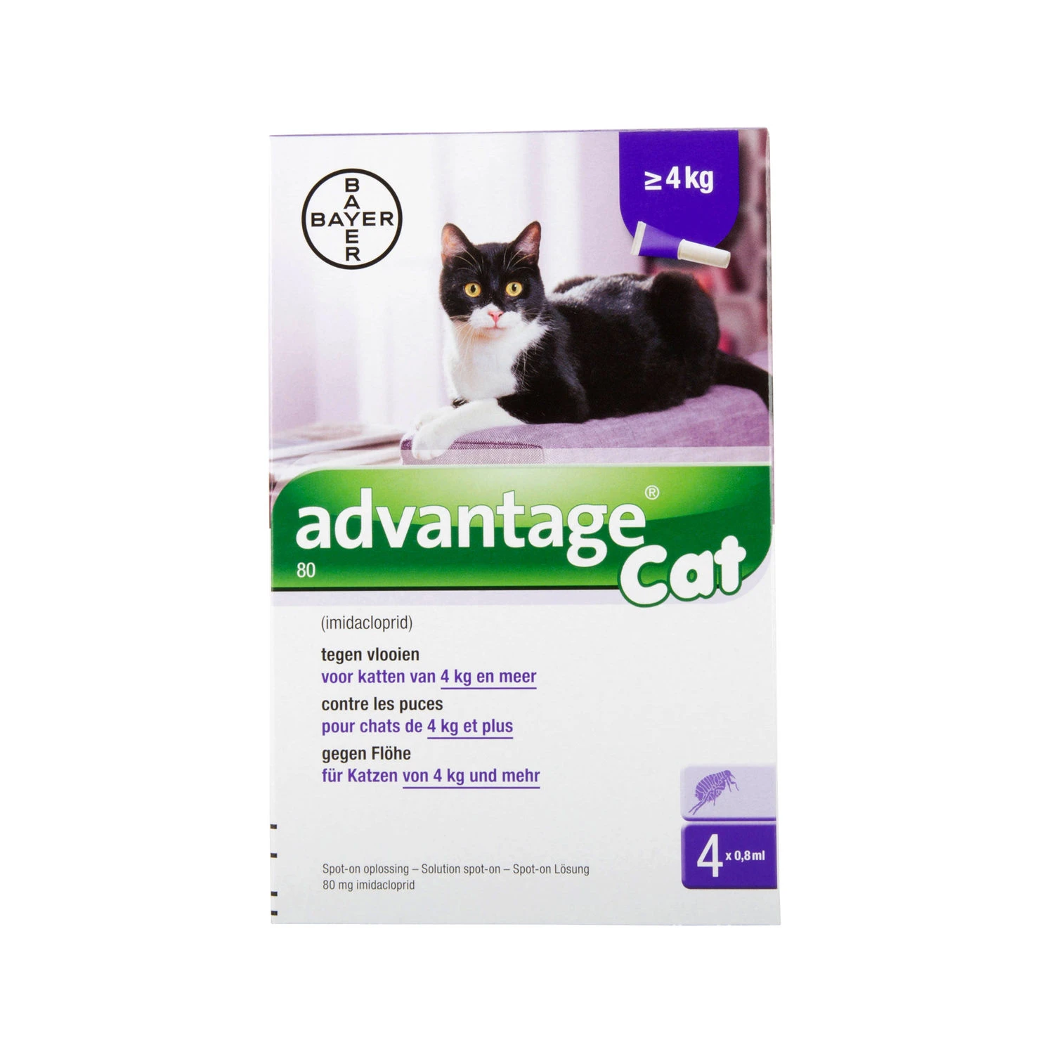 Advantage Kat 4 Advantage Kat - Image 2