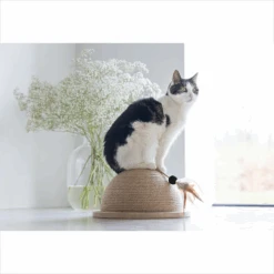 Designed By Lotte Halve Krabbol Vivi -Selecteer Dierenwinkels designed by lotte halve krabbol vivi 221562 1500 none