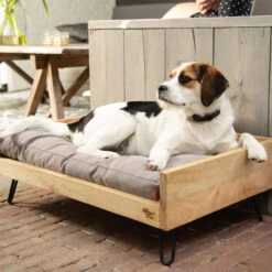 Designed By Lotte Ligmand Turana 8 Designed By Lotte Ligmand Turana -Selecteer Dierenwinkels designed by lotte ligmand turana 170029 2000 none