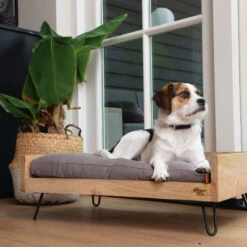 Designed By Lotte Ligmand Turana 9 Designed By Lotte Ligmand Turana -Selecteer Dierenwinkels designed by lotte ligmand turana 170032 2000 none