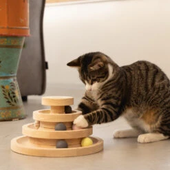 Designed By Lotte Speeltoren Mia -Selecteer Dierenwinkels designed by lotte speeltoren mia 193652 1000 none