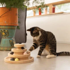 Designed By Lotte Speeltoren Mia -Selecteer Dierenwinkels designed by lotte speeltoren mia 193658 1000 none