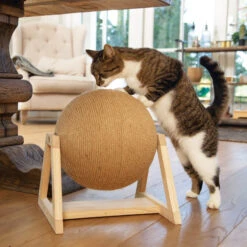 Designed By Lotte Xem Krabbol -Selecteer Dierenwinkels designed by lotte xem krabbol 164833 2000 none