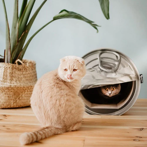 District 70 Can 5 District 70 Can - Image 3