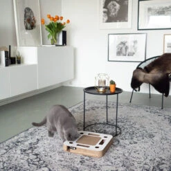 District 70 Spy -Selecteer Dierenwinkels district 70 spy 133861 0500 none