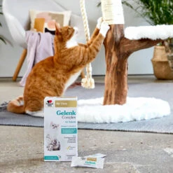 Doppelherz Gelenk Complex Voor Katten -Selecteer Dierenwinkels doppelherz gelenk complex fuer katzen 195053 1000 none