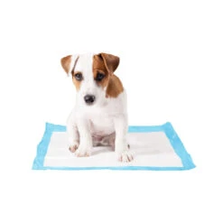 Duvo+ Puppy Pads -Selecteer Dierenwinkels duvo puppy pads 146015 1000 none