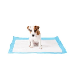 Duvo+ Puppy Pads -Selecteer Dierenwinkels duvo puppy pads large 50 stuks 108439 1000 none
