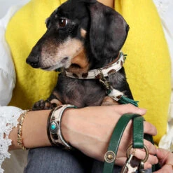 DWAM Halsband Ivy 27 DWAM Halsband Ivy -Selecteer Dierenwinkels dwam halsband ivy 180688 1000 none