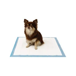 Easypets Trainingspads -Selecteer Dierenwinkels easypets trainingspads 184186 1000 none