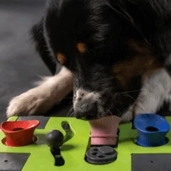 Eat Slow Live Longer Puzzle Antischrok Voerbak 21 Eat Slow Live Longer Puzzle Antischrok Voerbak -Selecteer Dierenwinkels eat slow live longer puzzle antischrok voerbak 220720 0500 none