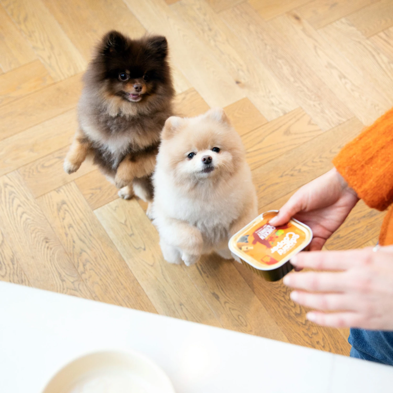 Edgard & Cooper Adult - Kip & Kalkoen - Kuipje 7 Edgard & Cooper Adult - Kip & Kalkoen - Kuipje - Image 5