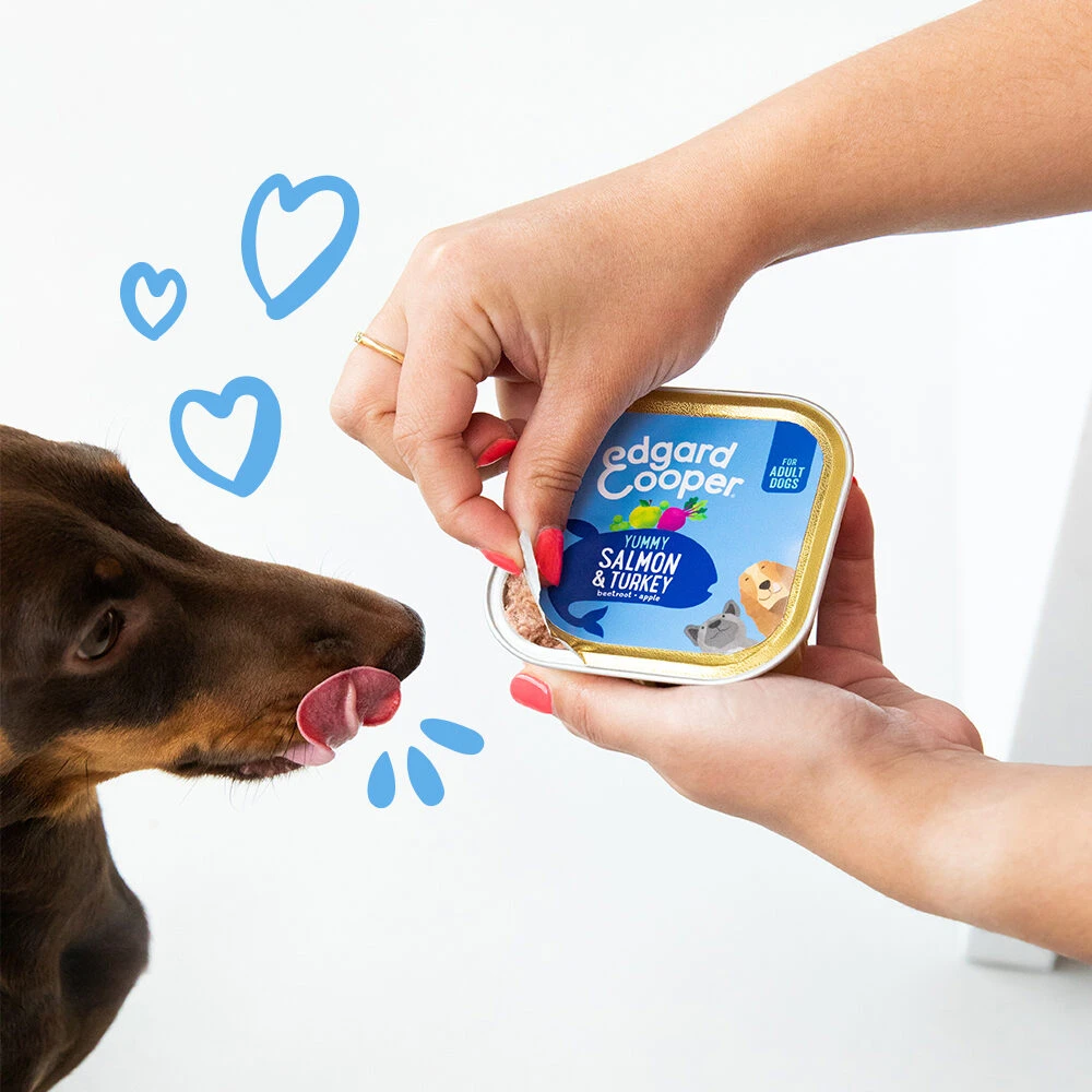 Edgard & Cooper Adult - Zalm & Kalkoen - Kuipje 7 Edgard & Cooper Adult - Zalm & Kalkoen - Kuipje - Image 5