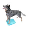 FitPAWS Balance Ramp 2 FitPAWS Balance Ramp -Selecteer Dierenwinkels fitpaws balance ramp 35 cm 106690 1500 none