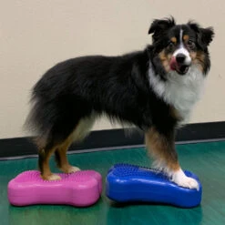 FitPAWS Bone Mini's 10 FitPAWS Bone Mini's -Selecteer Dierenwinkels fitpaws bone minis 177124 1000 none