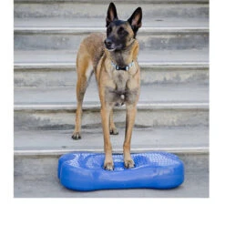 FitPAWS K9Fitbone -Selecteer Dierenwinkels fitpaws k9fitbone 109639 0500 none