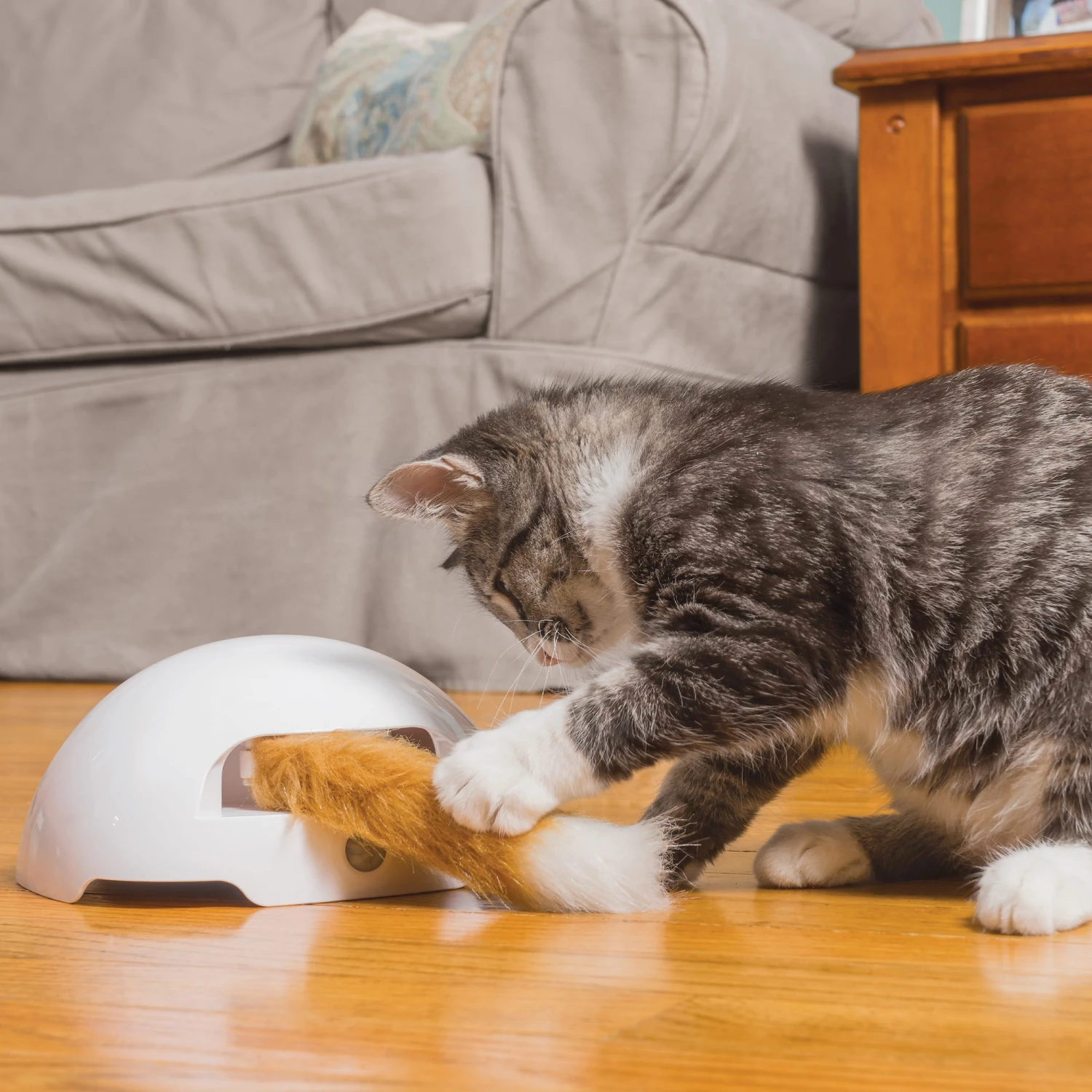 FroliCat Fox 4 FroliCat Fox - Image 2