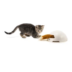 FroliCat Fox 11 FroliCat Fox -Selecteer Dierenwinkels frolicat fox 136600 2000 none