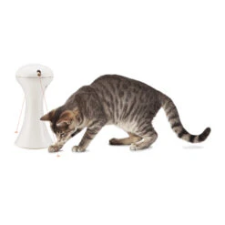 FroliCat Multi-Laser -Selecteer Dierenwinkels frolicat multi laser 136609 2000 none