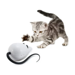 FroliCat RoloRat -Selecteer Dierenwinkels frolicat rolorat 136585 2000 none