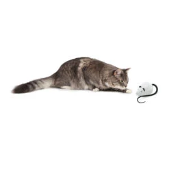 FroliCat RoloRat -Selecteer Dierenwinkels frolicat rolorat 136588 2000 none