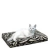 HD Catbed -Selecteer Dierenwinkels gFqR3L8w06vkelmZQwszPaJ27h61d0 metacHJvZHVjdF9oZF9jYXRiZWRfbWVkcGV0c180XzE0MjExNDcyNTdfOTMxOC5qcGc