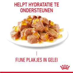 Royal Canin Light Weight Care In Jelly - Kattenvoer -Selecteer Dierenwinkels gHz8KLAqtgAJp5nKH3bPtgMazghEWl metaUm95YWwtQ2FuaW4tTGlnaHQtV2VpZ2h0LUNhcmUtaW4tSmVsbHlfMDMuanBn