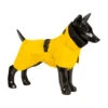 PAIKKA Visibility Raincoat Lite Yellow -Selecteer Dierenwinkels gv9AijAliylv48Hj2AQT3OpPMfpjKX metaUGFpa2thLVZpc2liaWxpdHktUmFpbmNvYXQtTGl0ZS1ZZWxsb3cyLmpwZw