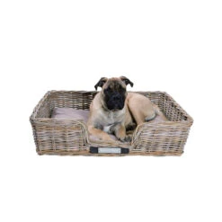 Happy House Rieten Mand Recht -Selecteer Dierenwinkels happy house rieten mand recht 167215 1000 none