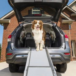 Happy Ride Telescoping Pet Ramp Deluxe 9 Happy Ride Telescoping Pet Ramp Deluxe -Selecteer Dierenwinkels happy ride telescoping pet ramp deluxe 162499 1000 none