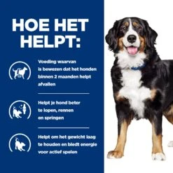 Hill's Metabolic + Mobility - Prescription Diet - Canine -Selecteer Dierenwinkels hills metabolic mobility prescription diet canine 212765 2000 none