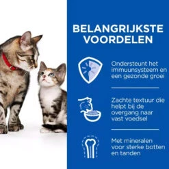 Hill's Science Plan Kitten & Mother Tender Mousse -Selecteer Dierenwinkels hills science plan kitten mother tender mousse 224035 0500 none