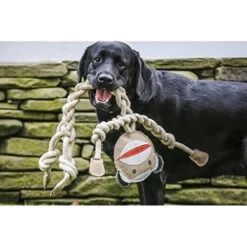 HuggleHounds Rope Knotties Monkey -Selecteer Dierenwinkels hugglehounds rope knotties monkey 214151 0500 none