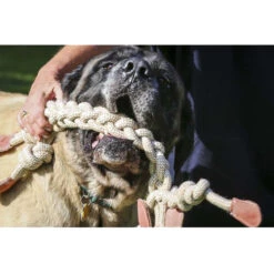 HuggleHounds Rope Knotties Monkey -Selecteer Dierenwinkels hugglehounds rope knotties monkey 214157 0500 none
