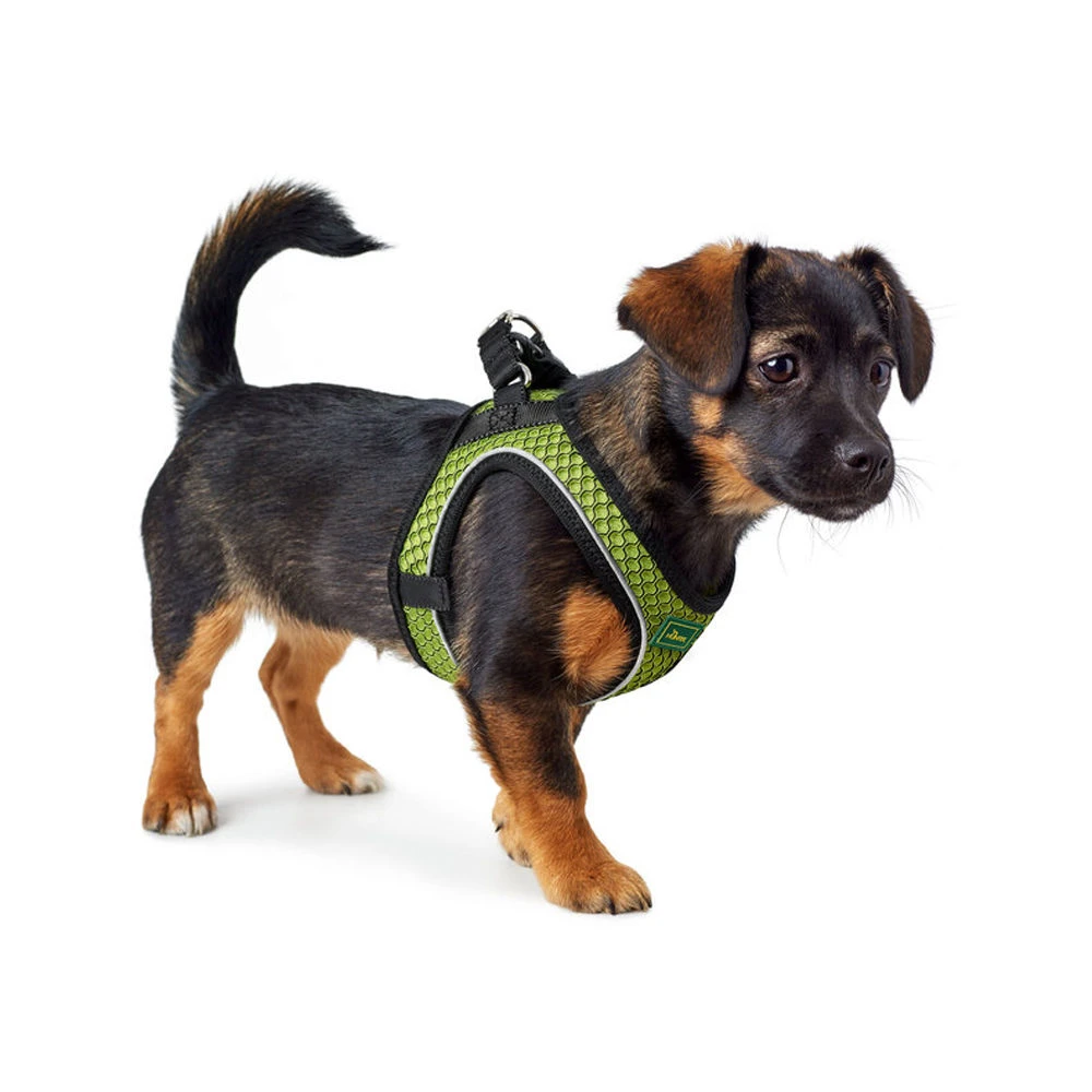 Hunter Hilo Comfort Harnas 20 Hunter Hilo Comfort Harnas - Image 18