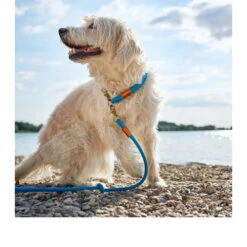 Hunter Verstelbare Riem Oss -Selecteer Dierenwinkels hunter verstelbare riem oss 116580 0500 none