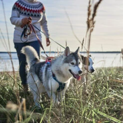 Hurtta - Weekend Warrior Winter Harnas - Bilberry -Selecteer Dierenwinkels hurtta weekend warrior winter harnas bilberry 216605 1500 none