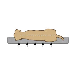 Beeztees Memory Foam Hondenmand Fy -Selecteer Dierenwinkels hvCepdrMJ9PHBiBpkQjR5RIwir05OL metaQmVlenRlZXMtTWVtb3J5LUZvYW0tVW1hLUhvbmRlbm1hbmQtb3J0aG9wZWRpc2NoLTIuanBn