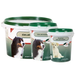 PrimeVal Gelatinaat Hond -Selecteer Dierenwinkels i3ewZQGiFVpG0UJLqYGv5CJkXTkGFs metaaW5mb3JtYXRpZV9vdmVyX19iZXN0ZWxsZW5fbWVkcGV0c19ubF80XzEzNjE3ODU3OTFfNjY0MS5qcGc