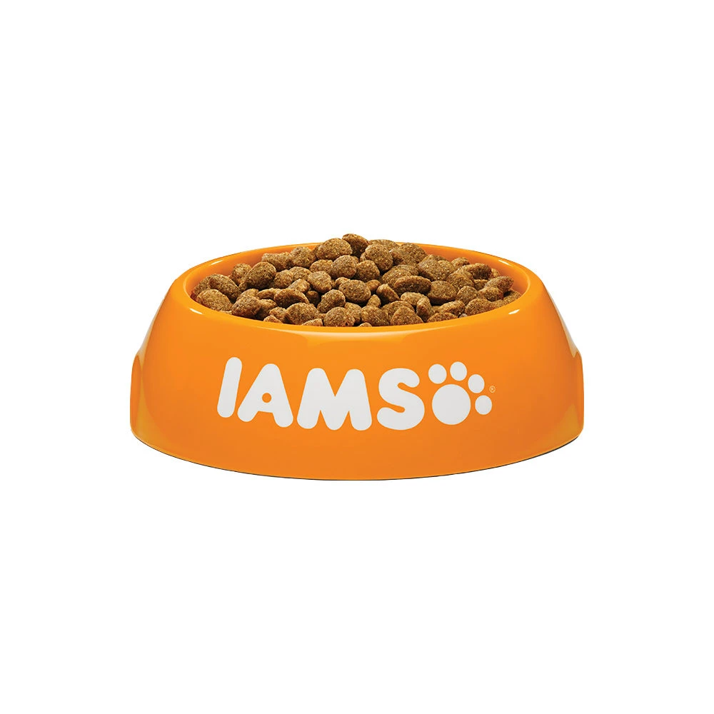 IAMS For Vitality Dog Adult - Small & Medium - Chicken 4 IAMS For Vitality Dog Adult - Small & Medium - Chicken - Image 2