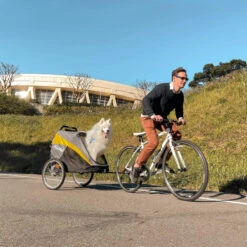 InnoPet Buggy Hercules -Selecteer Dierenwinkels innopet buggy hercules 196502 2000 none