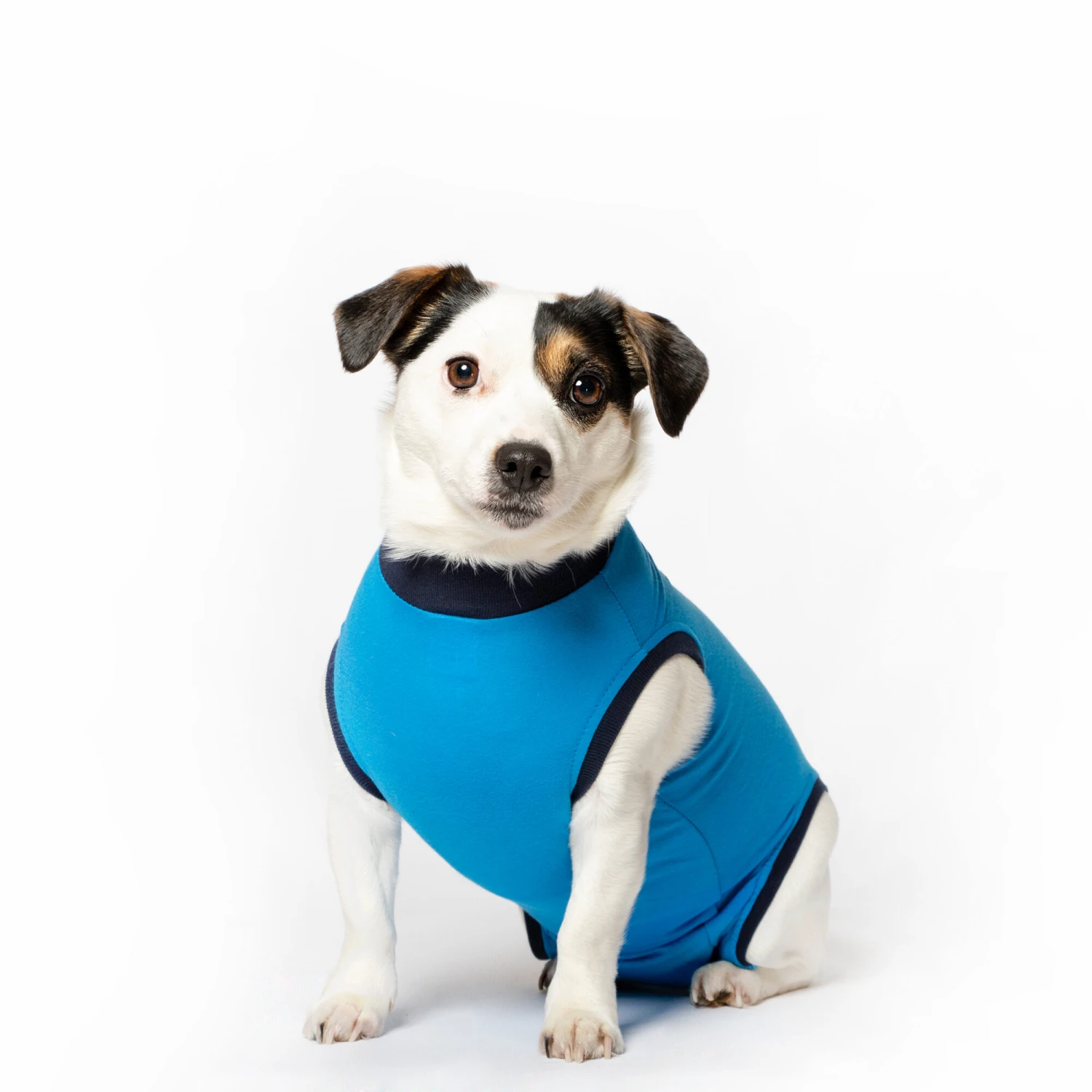 Jacketz Medical Body Suit Hond 12 Jacketz Medical Body Suit Hond - Image 10