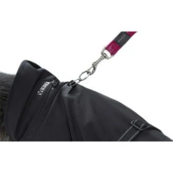 Kruuse Rehab Hondendeken -Selecteer Dierenwinkels kruuse rehab hondendeken 108004 0500 none