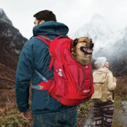 Kurgo G-Train K9 Pack -Selecteer Dierenwinkels kurgo g train k9 pack 177133 0500 none