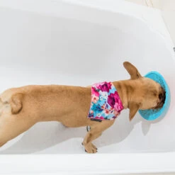 LickiMat Splash 7 LickiMat Splash -Selecteer Dierenwinkels lickimat splash 164212 2000 none