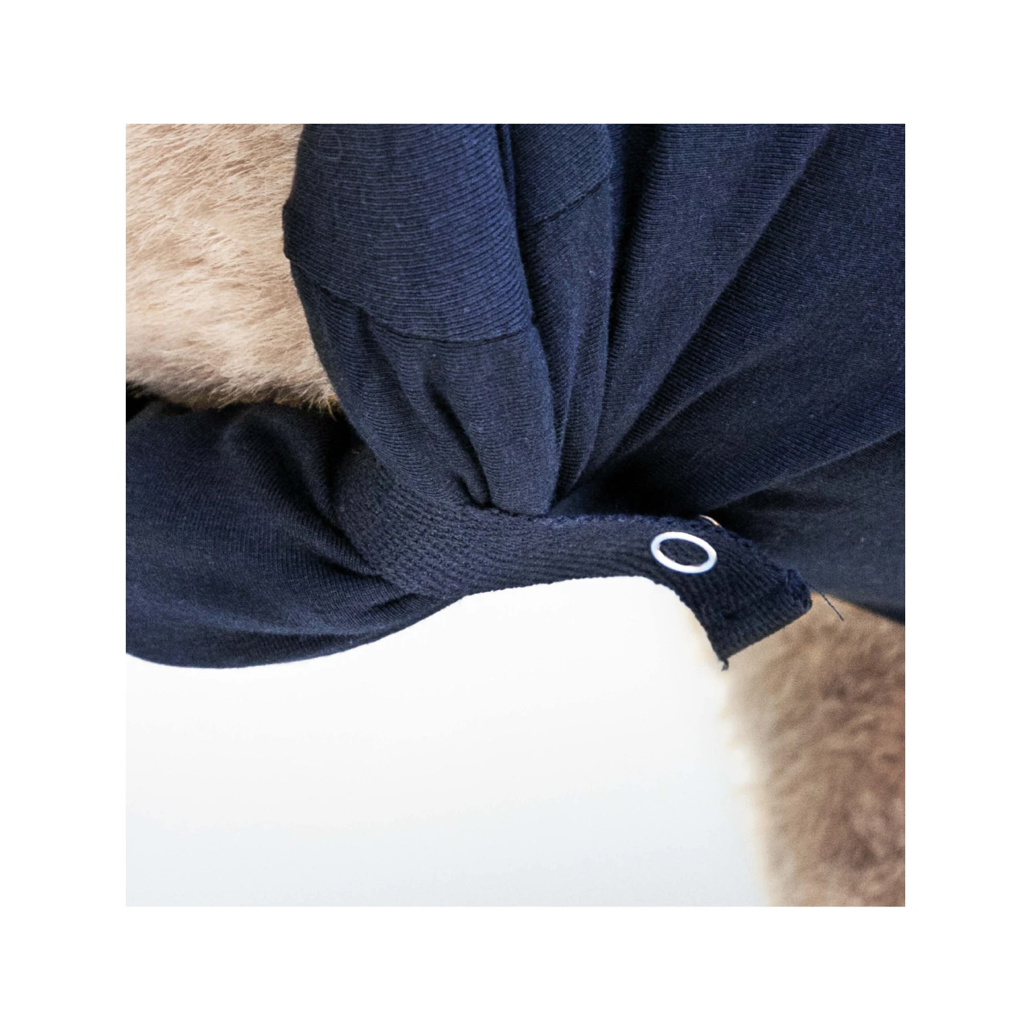 Medical Pet Shirt Hond 19 Medical Pet Shirt Hond - Image 17