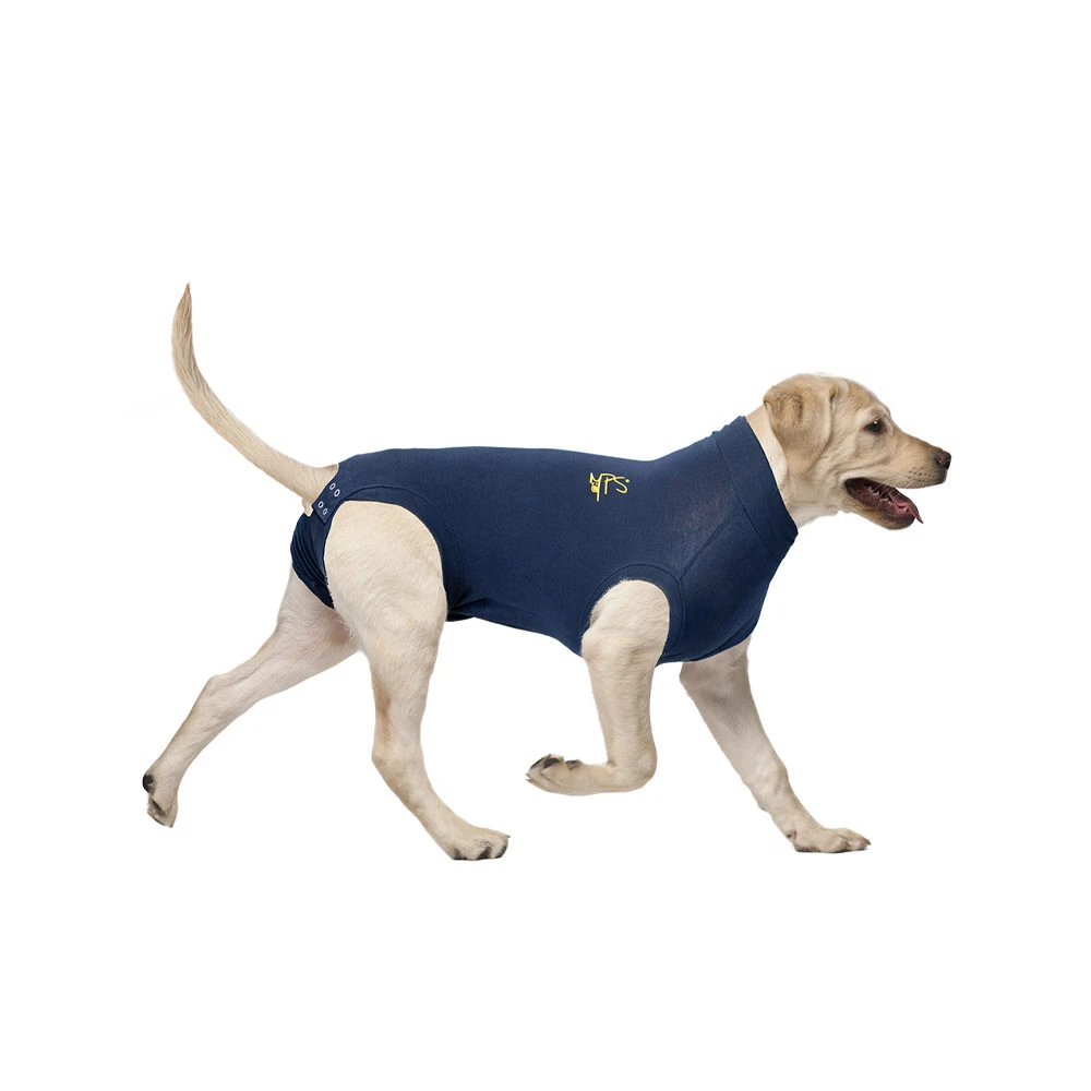 Medical Pet Shirt Hond 14 Medical Pet Shirt Hond - Image 12