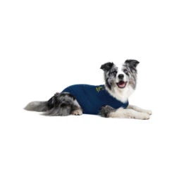 Medical Pet Shirt Hond 37 Medical Pet Shirt Hond -Selecteer Dierenwinkels medical pet shirt hond 167416 1000 none
