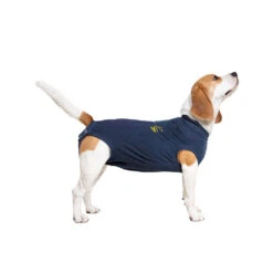 Medical Pet Shirt Hond 39 Medical Pet Shirt Hond -Selecteer Dierenwinkels medical pet shirt hond 167419 1000 none
